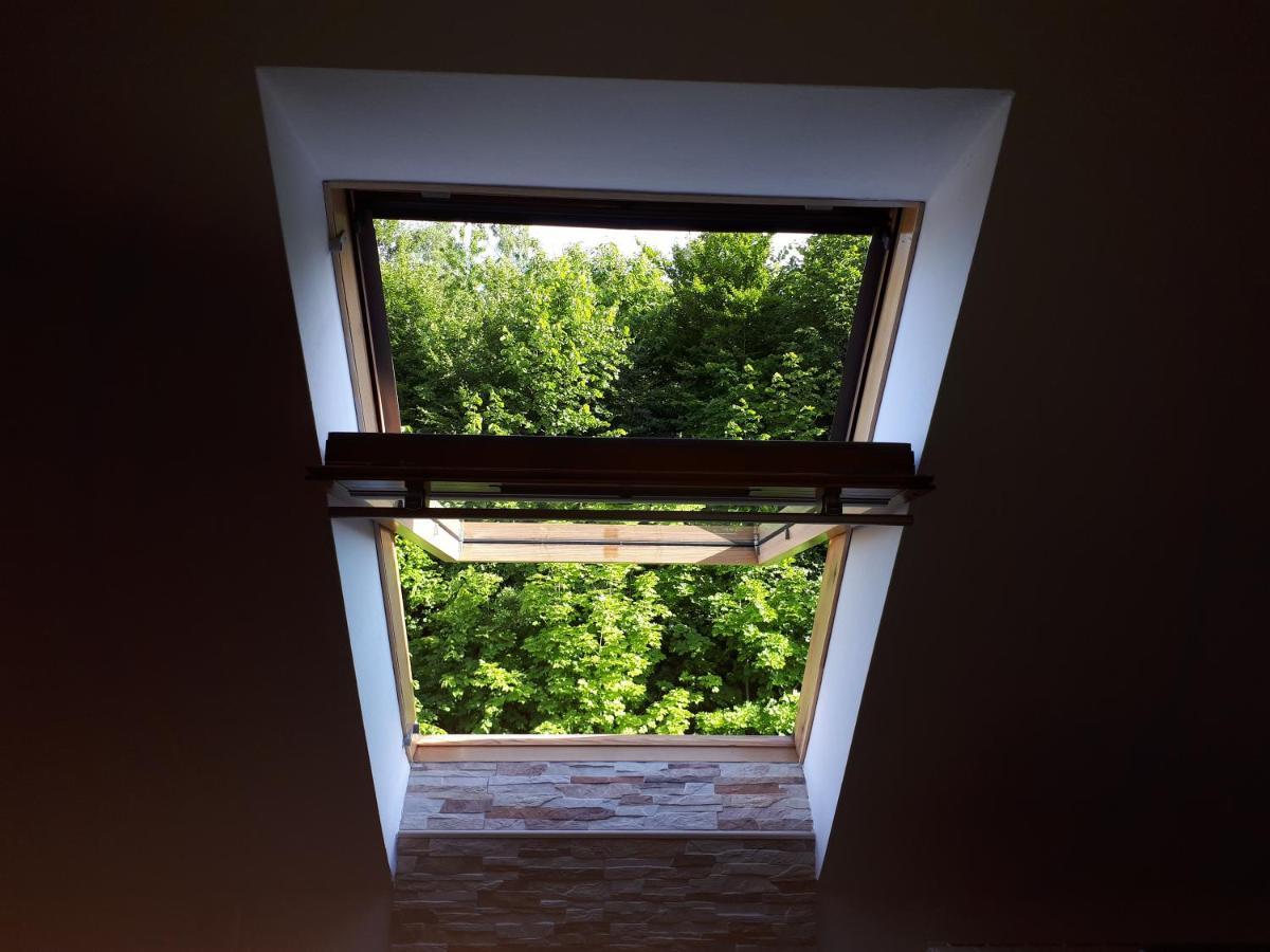 Apartment Erika Fužine المظهر الخارجي الصورة