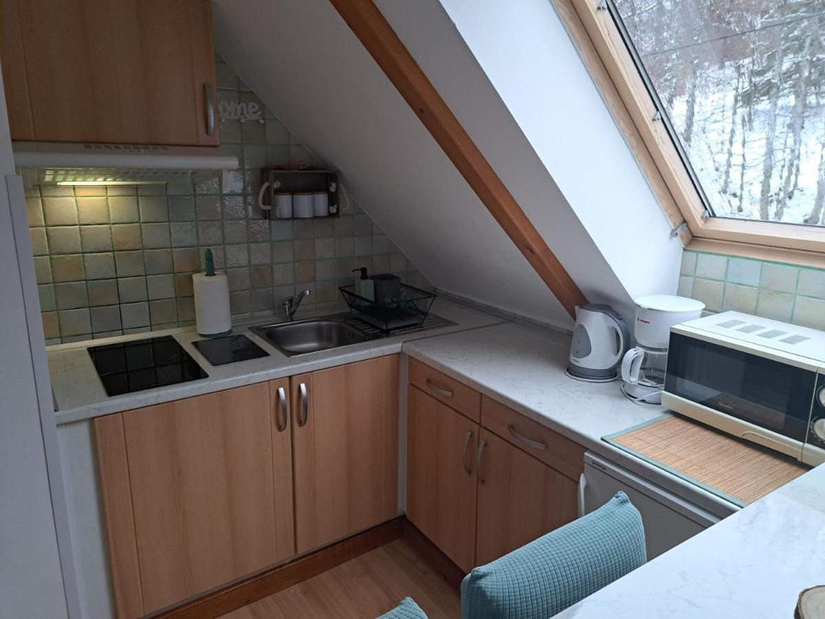 Apartment Erika Fužine المظهر الخارجي الصورة