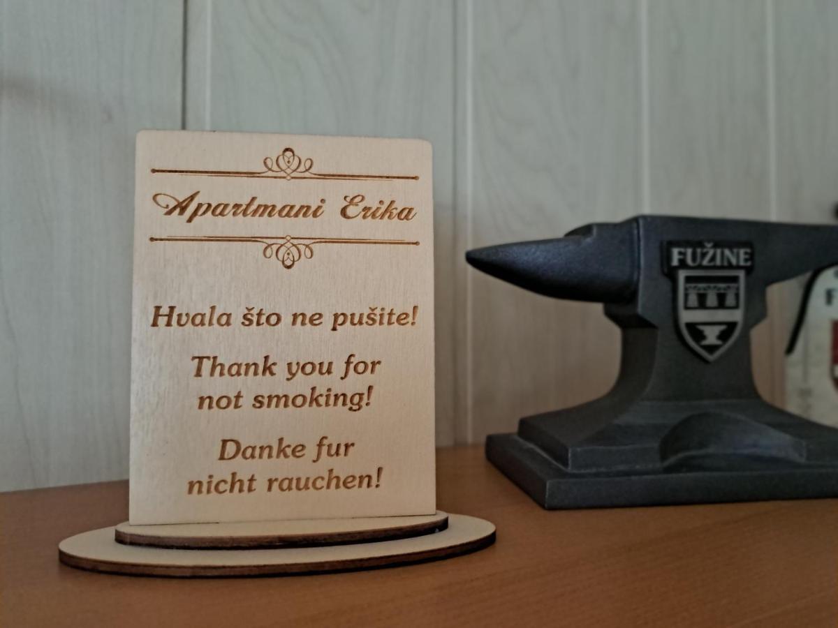 Apartment Erika Fužine المظهر الخارجي الصورة