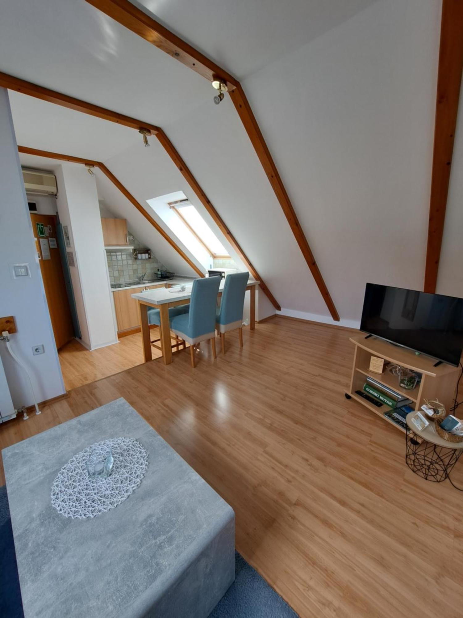 Apartment Erika Fužine المظهر الخارجي الصورة